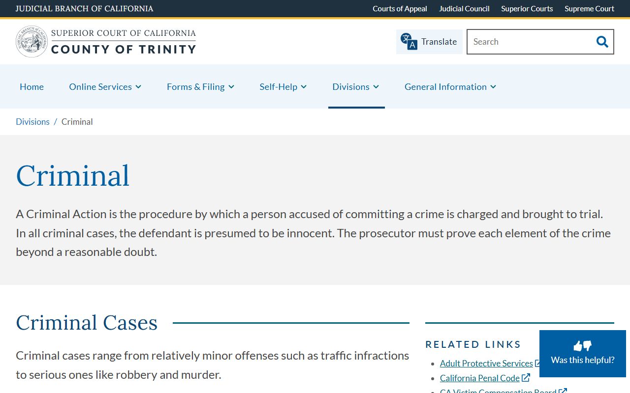 Trinity County court records after arrest criminal division page